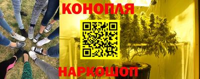 сатива Рыбинск