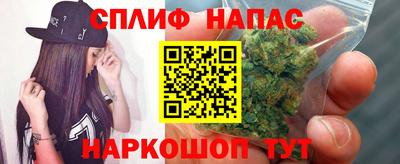 сатива Рыбинск